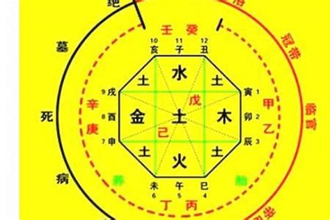 八字喜水木|喜用神为水木什么意思，八字喜水木适合工作